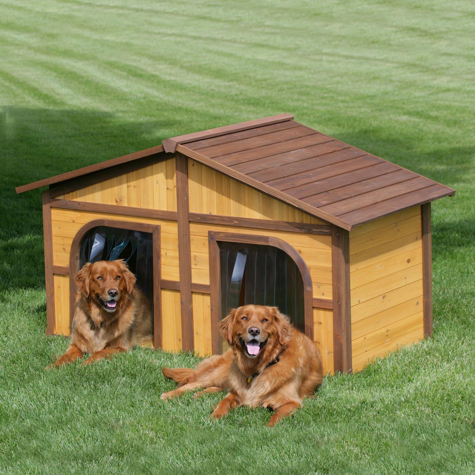 house for dogs